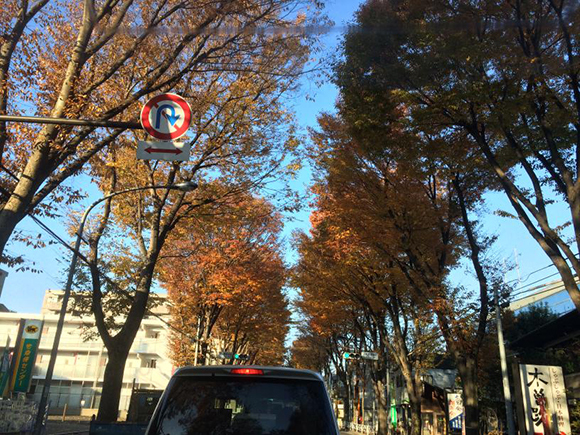 一枚目は甲州街道沿いの紅葉