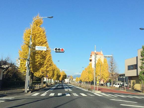 二枚目は国道16号沿い